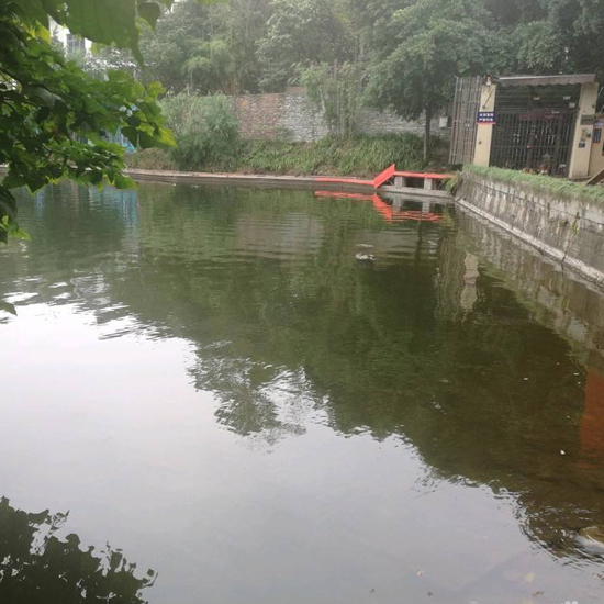  水質指標及水質懸浮物的測定